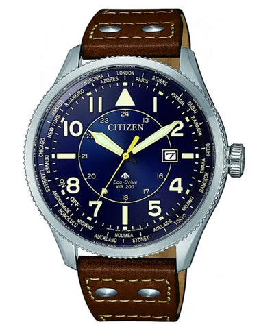 Gents Citizen Eco-Drive Promaster World Time